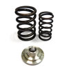 0640a_246_valve_springs_sm